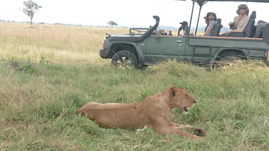 Adventure and climbing