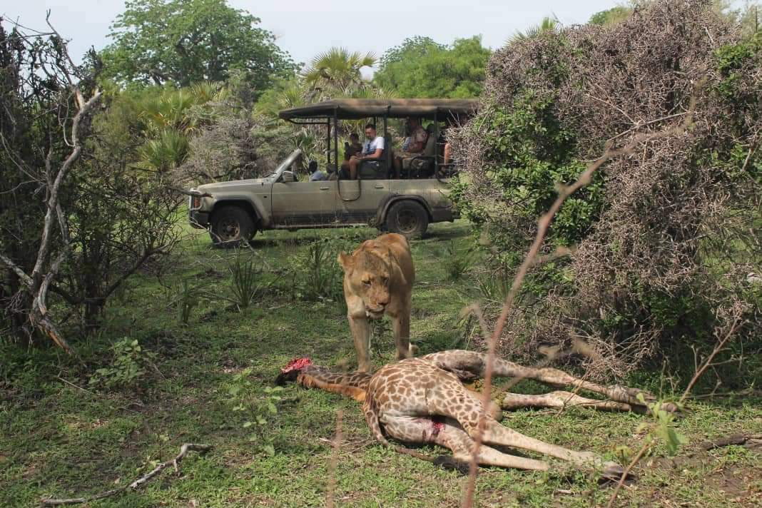 Couple camping or cabin