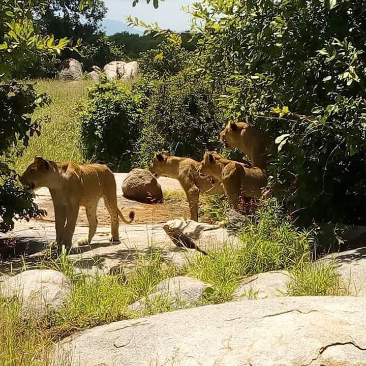 Trailers and rv spots